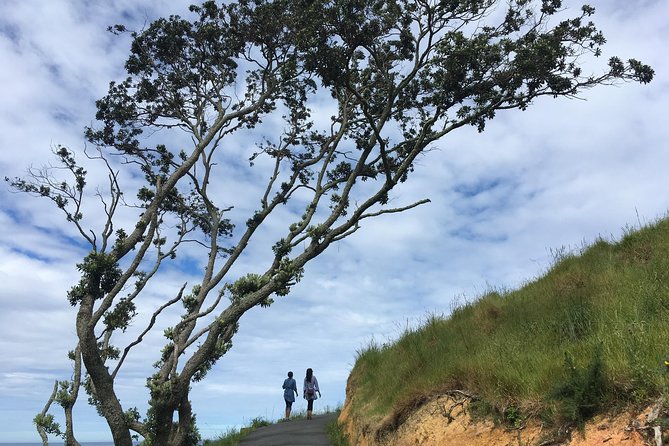 Cathedral Cove Day Trip from Auckland - Quick wins before you go