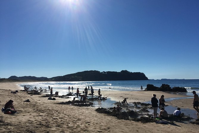 Cathedral Cove Day Trip from Auckland - Hot Water Beach: how the hot spring works under your feet