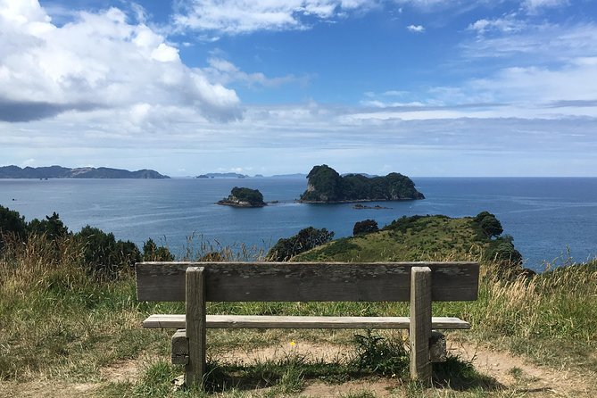 Cathedral Cove Day Trip from Auckland - Cathedral Cove walk: cliffs, off-shore islands, and the marine reserve feel