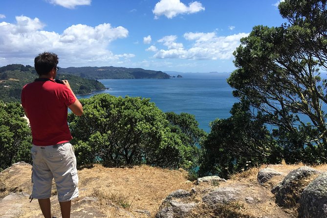 Cathedral Cove Day Trip from Auckland - Mt Paku: the short climb that earns wide coastal views