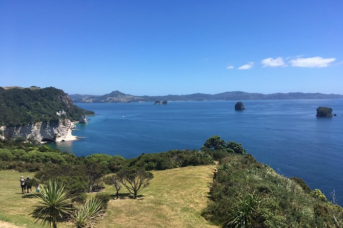 Cathedral Cove Day Trip from Auckland - Who this day trip suits best (and who may want a different plan)