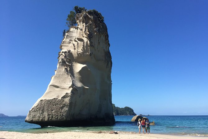 Cathedral Cove Day Trip from Auckland - The drive from Auckland: leaving at 8:00 and getting back without stress