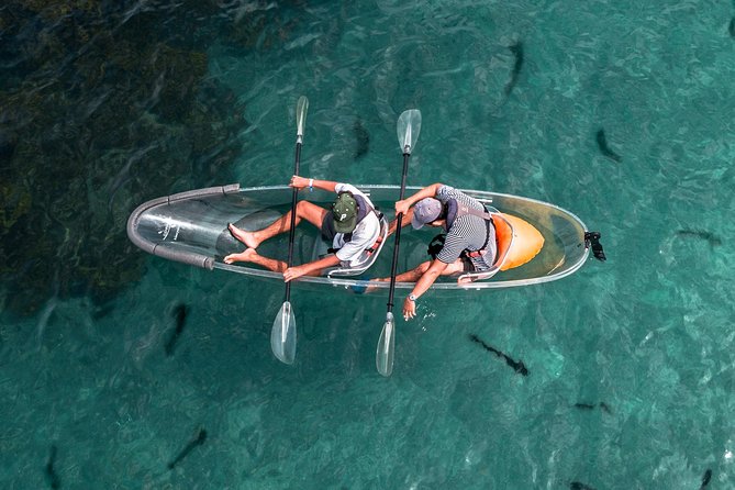 Clearyak hire at Goat Island Marine Reserve - Key highlights before you go