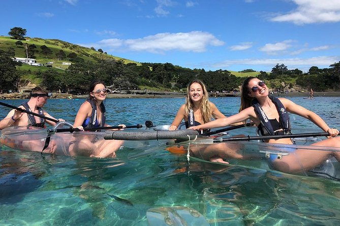 Clearyak hire at Goat Island Marine Reserve - Getting to Goat Island: the Pohutukawa-tree meeting point