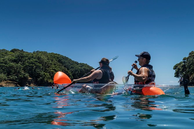Clearyak hire at Goat Island Marine Reserve - Should you book this Clearyak hire at Goat Island?