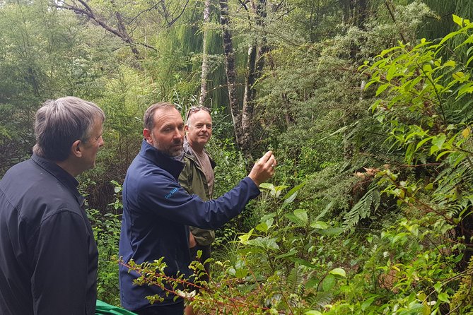 Coast and Rainforest Eco-Tour from Auckland with Picnic Lunch - Arataki Visitor Centre: The Tasman-to-Pacific View Start