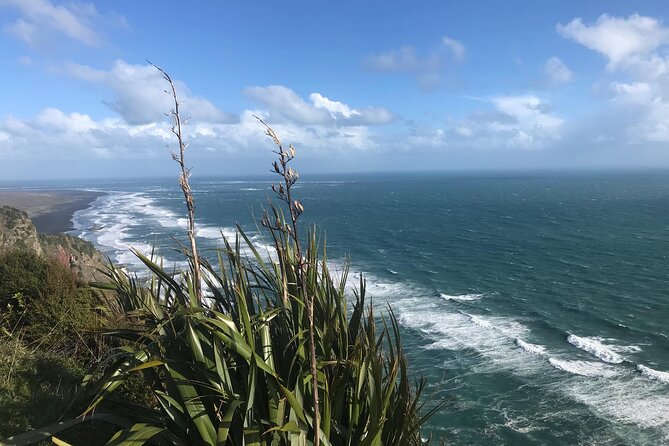 Coast and Rainforest Eco-Tour from Auckland with Picnic Lunch - What to Pack for West-Coast Weather (Bring the Boring Stuff)
