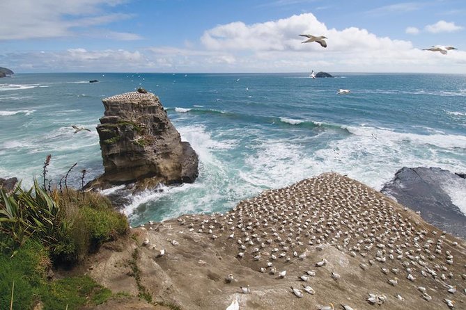Coast to Coast Private Eco Tour - Key highlights worth planning for