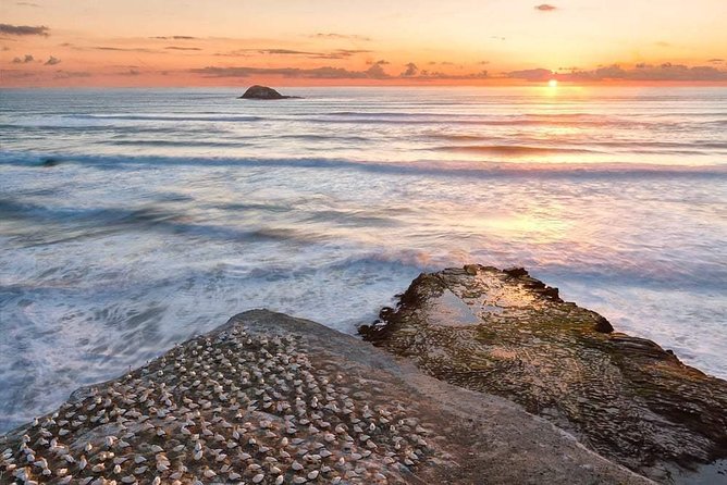 Coast to Coast Private Eco Tour - What you get for $425.09 per person (and when it’s a smart spend)