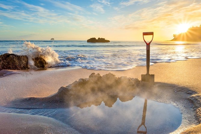Coromandel Coastal Experience - Small Group Tour from Auckland - Key highlights worth getting excited about