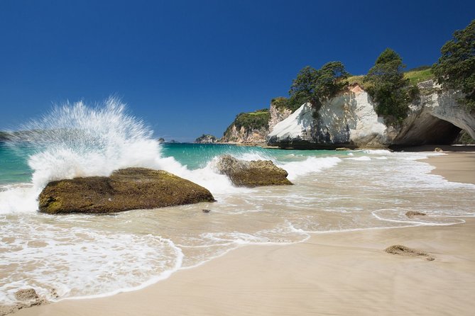 Coromandel Coastal Experience - Small Group Tour from Auckland - Hot Water Beach: tide math and your DIY thermal spa