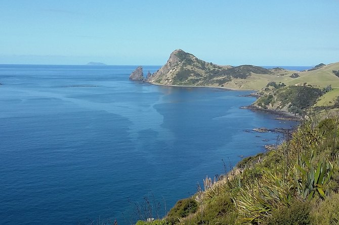 Coromandel Coastal Experience - Small Group Tour from Auckland - Thames and the Bombay Hills: quick breaks that keep the day comfortable