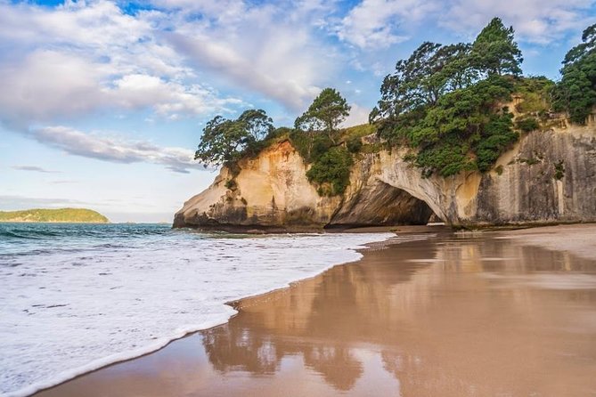 Coromandel Coastal Experience - Small Group Tour from Auckland - What the small group (max 15) changes for you