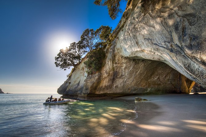 Coromandel Coastal Experience - Small Group Tour from Auckland - Pickup, onboard comfort, and the meeting point you should actually find