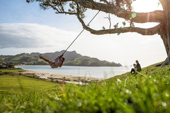 Coromandel Day Tour From Auckland - Hot Water Beach Mineral Pools: Digging Timing, Swims, and the Spade Trick