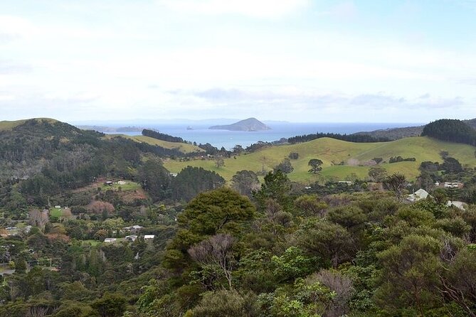 Coromandel Day Tour From Auckland - Lunch Is on You: How the Snack Plan Works (and Where to Spend Wisely)