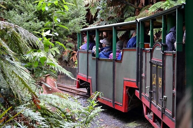 Coromandel Day Tour From Auckland - Price and Value: Is $284.84 a Fair Deal?