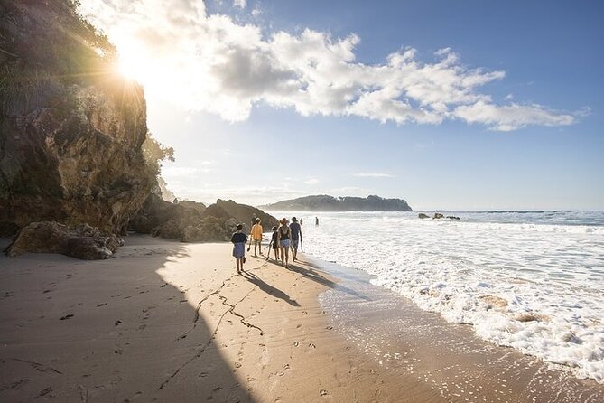 Coromandel Day Tour From Auckland - Driving Creek Railway and Eyefull Tower: Spirals, Tunnels, and Gulf Views