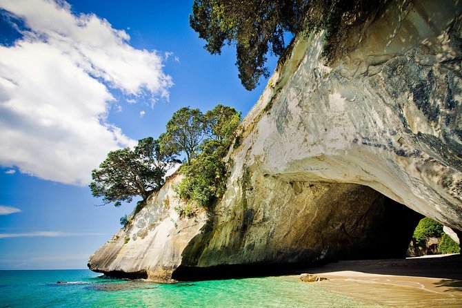 Coromandel Peninsula Discovery - Private Tour From Auckland - Luxury Auckland Pickup and the 7:00 am start that makes sense