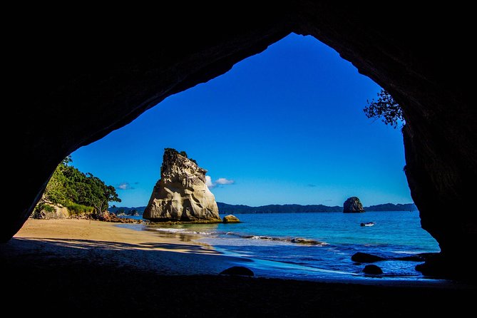 Coromandel Peninsula Discovery - Private Tour From Auckland - Māori history and Narnia-style locations: why the guide matters