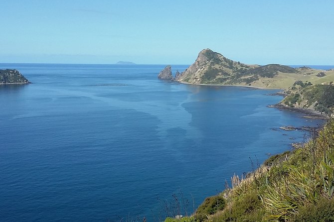 Coromandel Peninsula Discovery - Private Tour From Auckland - Nailing the comfort details: clothes, shoes, and the windy-road reality