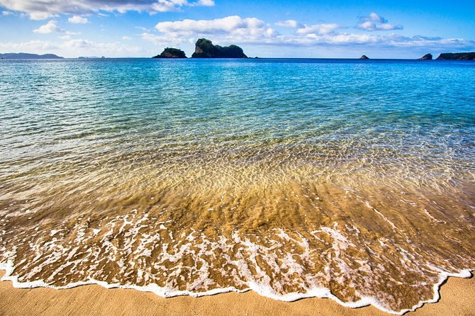 Coromandel Peninsula Discovery - Private Tour From Auckland - Price and value: what you really pay for at about $650 pp