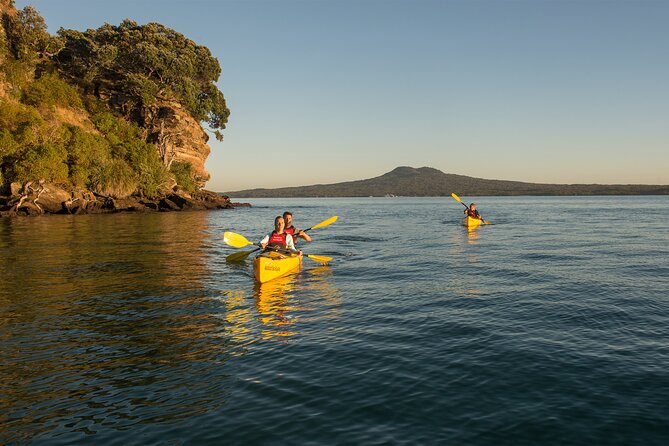 Day sea kayak tour Rangitoto Island - Key highlights worth knowing