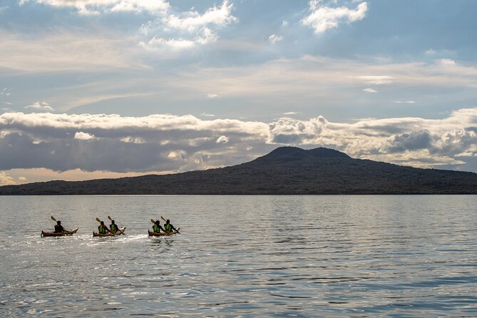 Day sea kayak tour Rangitoto Island - Price and value: is $152.04 per person a fair deal?