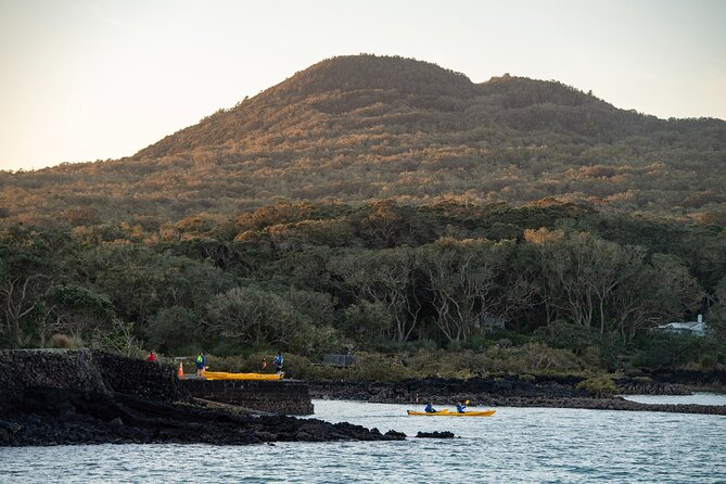 Day sea kayak tour Rangitoto Island - Who should book this sea kayak day (and who should reconsider)