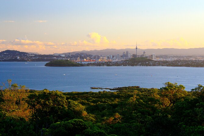 Day sea kayak tour Rangitoto Island - Morning logistics from Auckland: pickup, timing, and your gear check