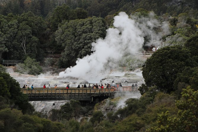 Day Tour Hobbiton + Rotorua from Auckland in Luxury Minibus - Price and logistics: why it costs what it costs