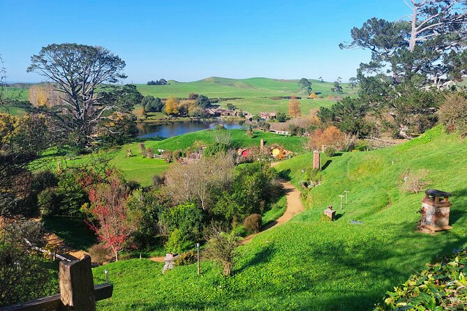 Day Tour Hobbiton + Rotorua from Auckland in Luxury Minibus - Comfort, clothing, and timing tips that actually help