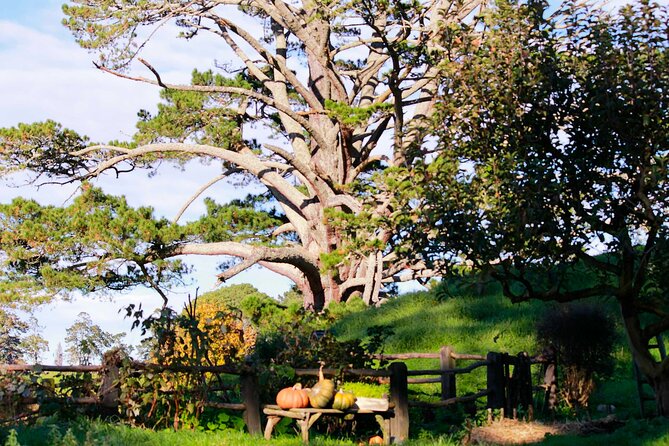 Day Tour Hobbiton + Rotorua from Auckland in Luxury Minibus - Who should book, and who should skip this format