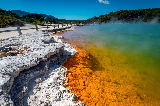 Devil's Bath Experience - Private Tour to Wai-O-Tapu & Lake Taupo - Huka Honey Hive: sampling New Zealand sweetness without the sales pitch