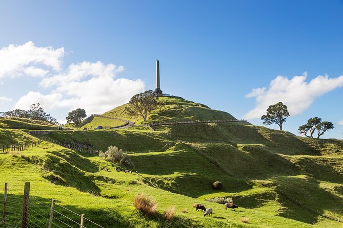 Discover Auckland City Tour: The City of Sails - Mission Bay and the seaside suburbs near Auckland