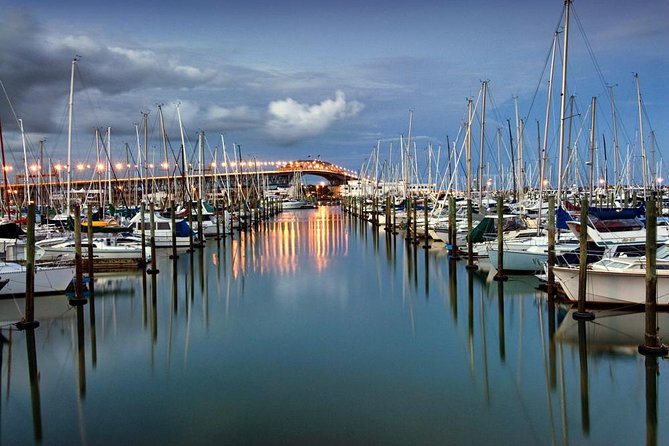 Discover Auckland City Tour: The City of Sails - One Tree Hill (Maungakiekie): where the views feel bigger than the time