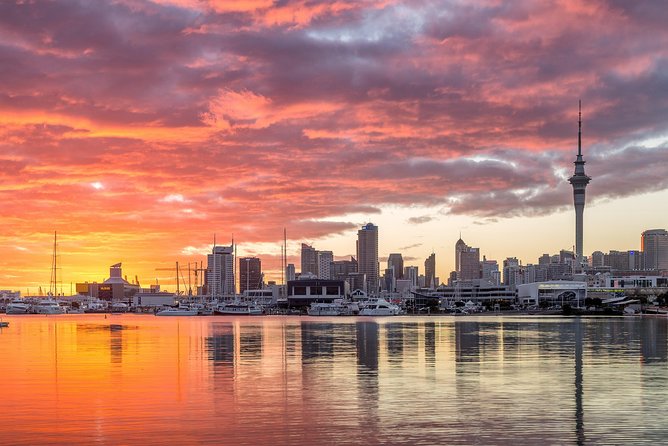 Discover Auckland City Tour: The City of Sails - Mount Eden: the classic volcanic cone viewpoint