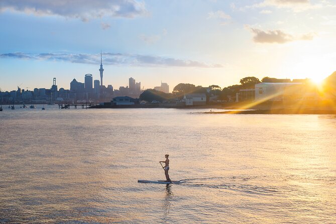 Discover Auckland City Tour: The City of Sails - Pickup, comfort, and the small-group feel (max 19)