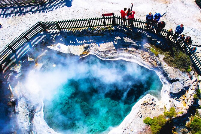 Ex Auckland: Rotorua Māori Village with Haka and Hot Springs - Price and value: what you’re really paying for at $245.13
