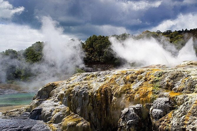 Ex Auckland: Rotorua Māori Village with Haka and Hot Springs - Whakarewarewa Māori Village: the living part is the point