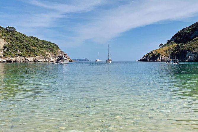 Exclusive Sailing Charter from Waiheke Island - Key things to know before you book