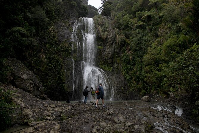 Explore BLACK SAND PIHA BEACH, and Water Falls in West Auckland - Kitekite Falls: the walk, the steps, and the swimming payoff