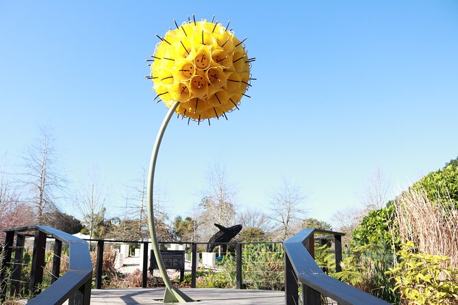 Explore gardens & galleries filled with incredible art, Matakana - What makes the collection feel special: scale and spacing