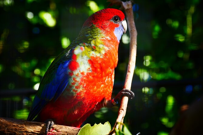 Explore gardens & galleries filled with incredible art, Matakana - Wine sampling and a place to refuel after art