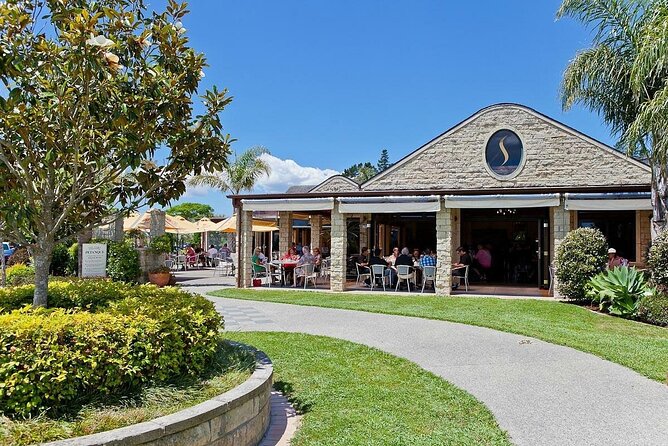 Explore West Auckland with Winery - Muriwai Beach: Black Sand, Surf Energy, and Quick View Time