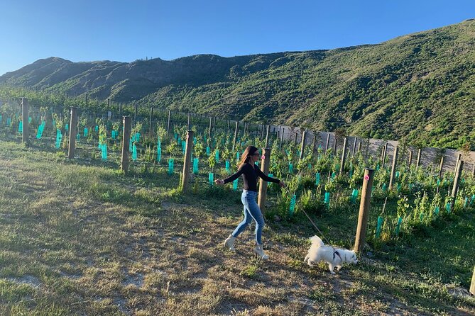 Flavours of Waiheke, wine, beer, spirits INCLUDES lunch - MAX 11 - Stop 4: Batch Winery lunch with magnificent island views (about 1.5 hours)