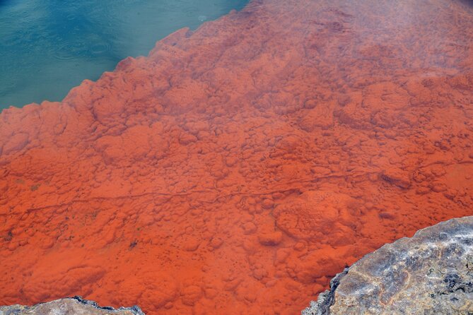 From Auckand: Waiotapu and Polynesian Spa Rotorua Day Tour - Auckland to Rotorua in a single long day