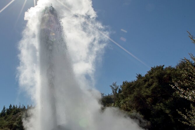 From Auckand: Waiotapu and Polynesian Spa Rotorua Day Tour - Price and value: what you’re paying for at $235.82