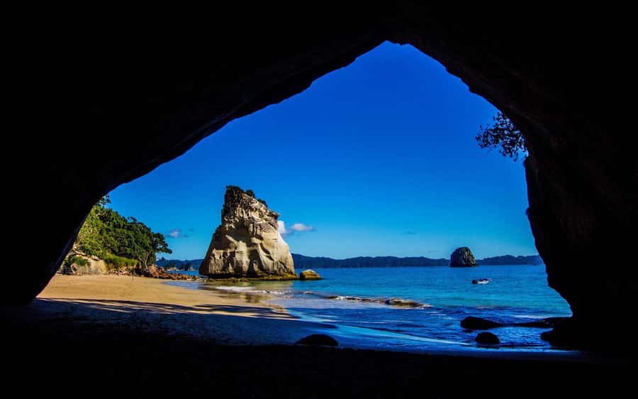 From Auckland: Cathedral Cove & Hot Water Beach Tour - Key things to know before you go