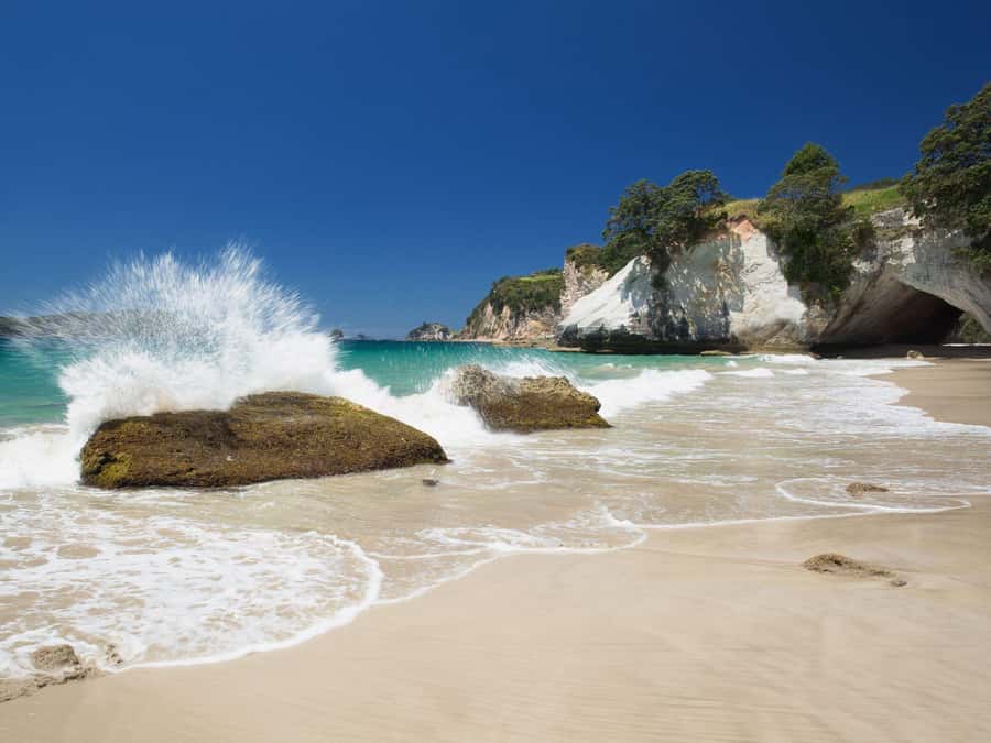 From Auckland: Cathedral Cove & Hot Water Beach Tour - Coromandel in One Long Day: the big payoff from Auckland